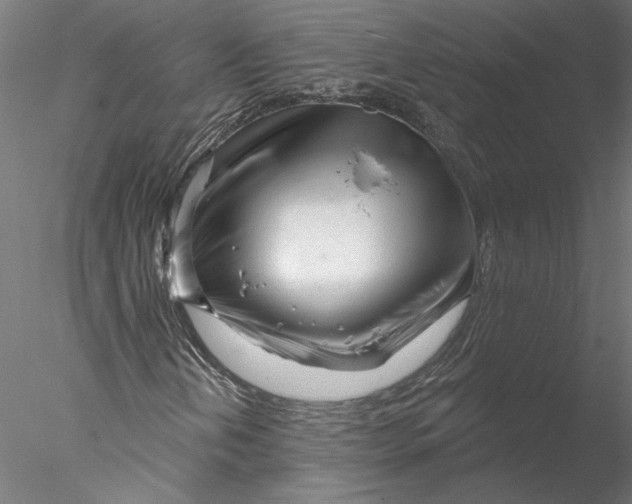 X0000076381202200611031620