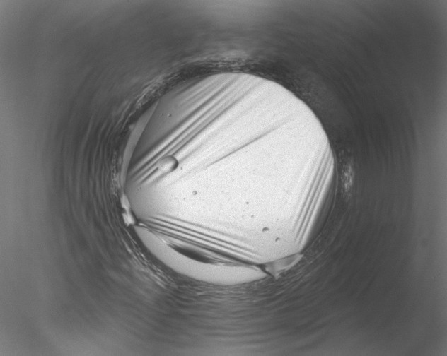 X0000076381204200611031620