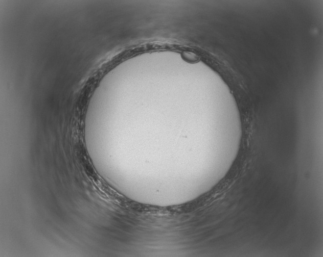 X0000076381207200611031620