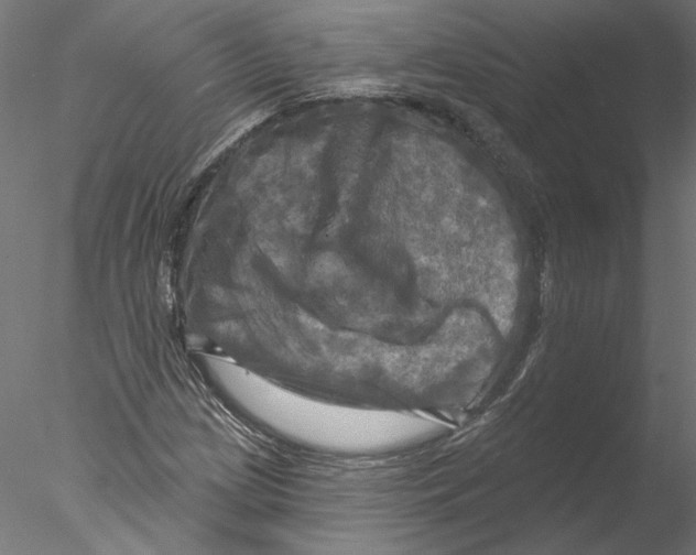 X0000076381209200611031620