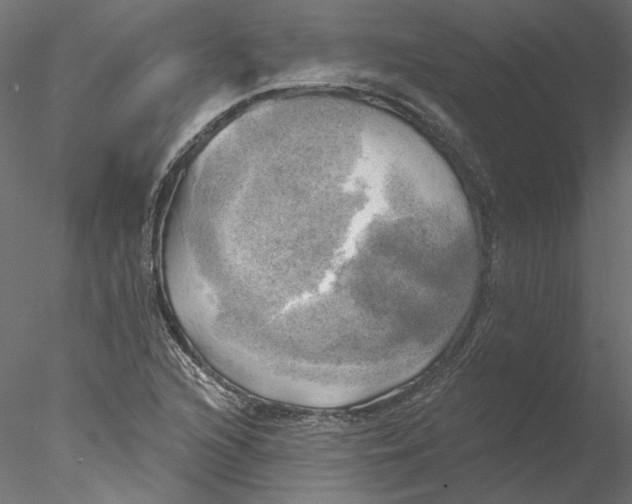 X0000076381216200611031621