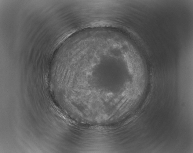 X0000076381217200611031621