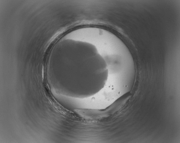 X0000076381221200611031621