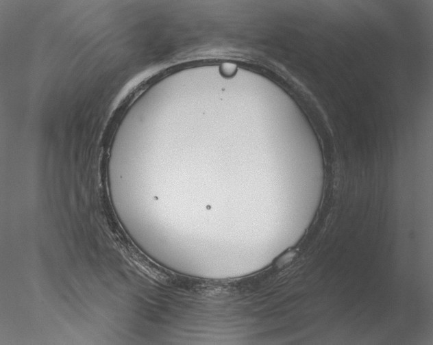 X0000076381222200611031621