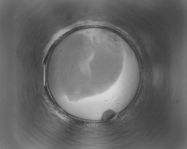 X0000076381223200611031621