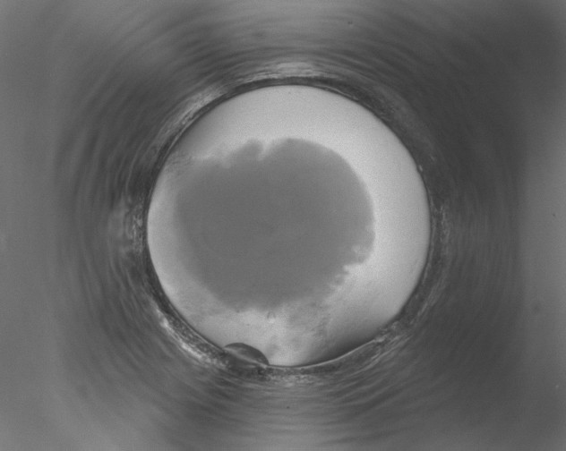 X0000076381225200611031621