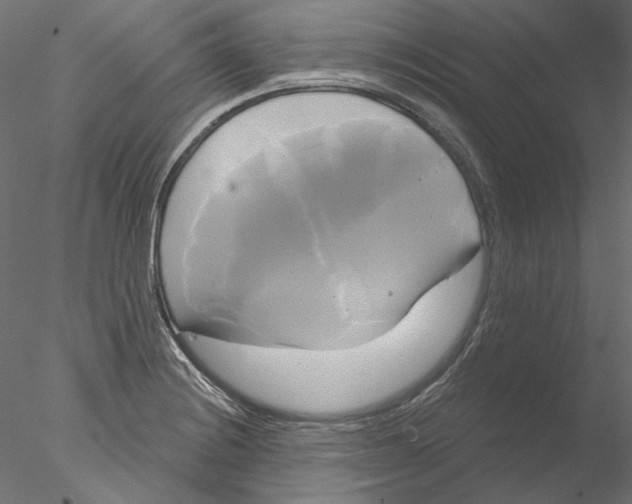 X0000076381228200611031621