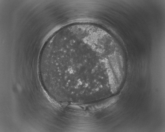 X0000076381229200611031621