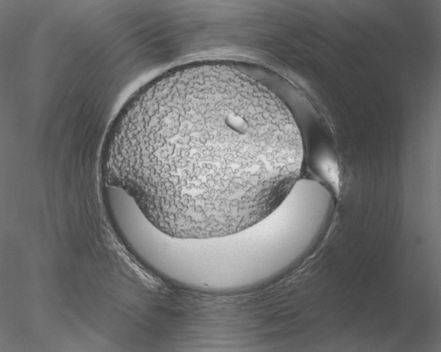 X0000076381230200611031621