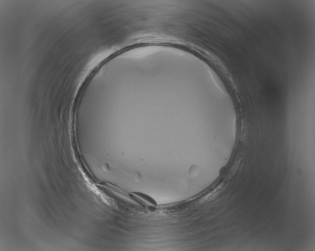 X0000076381231200611031621