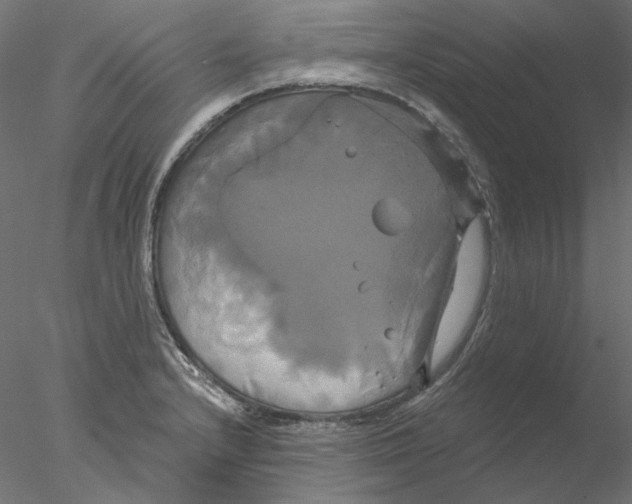 X0000076381232200611031621