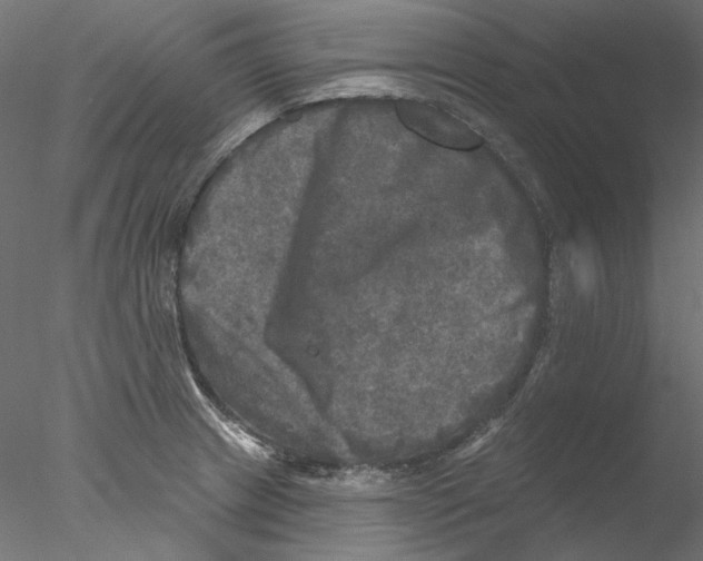 X0000076381233200611031621