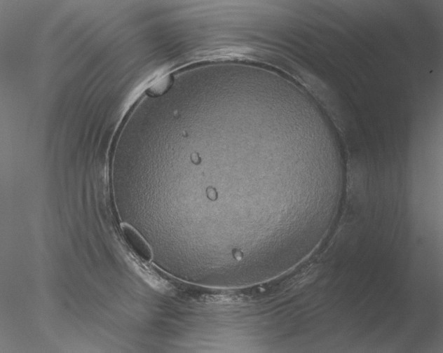 X0000076381234200611031621