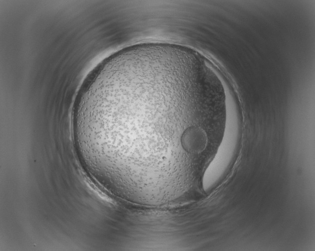 X0000076381238200611031621