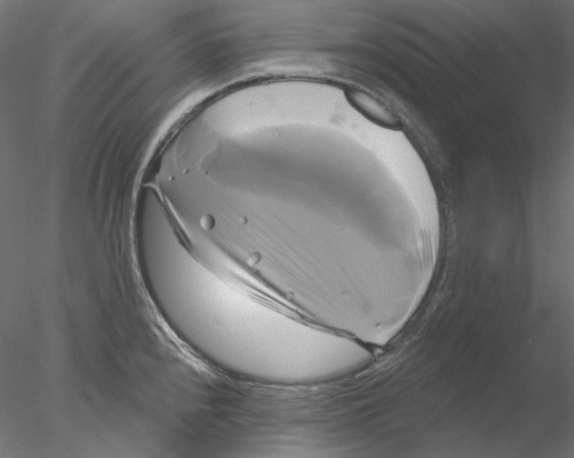 X0000076381240200611031621