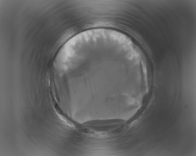 X0000076381241200611031621