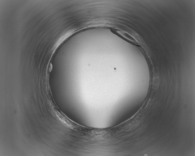 X0000076381242200611031621