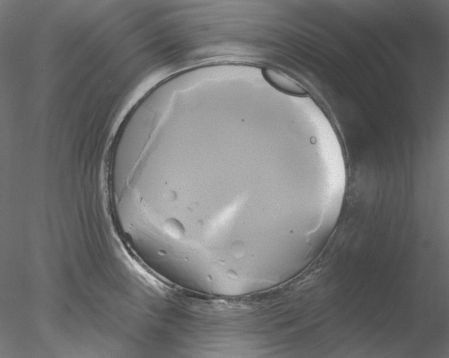 X0000076381243200611031621