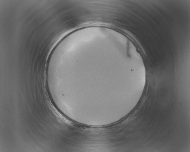 X0000076381244200611031621