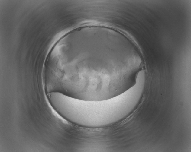 X0000076381247200611031621