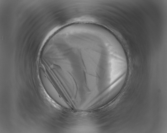 X0000076381248200611031621