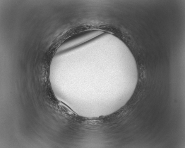 X0000076381253200611031620