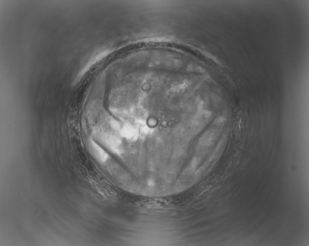 X0000076381255200611031620