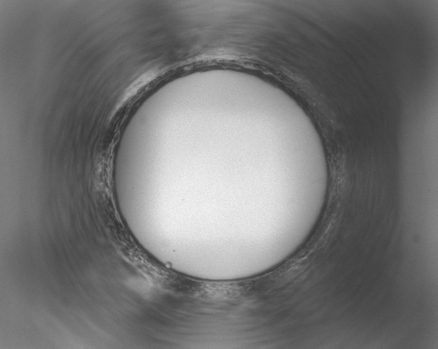 X0000076381258200611031620