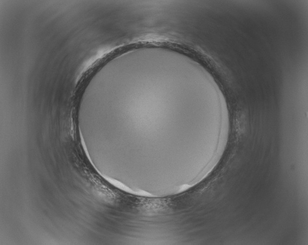 X0000076381262200611031620