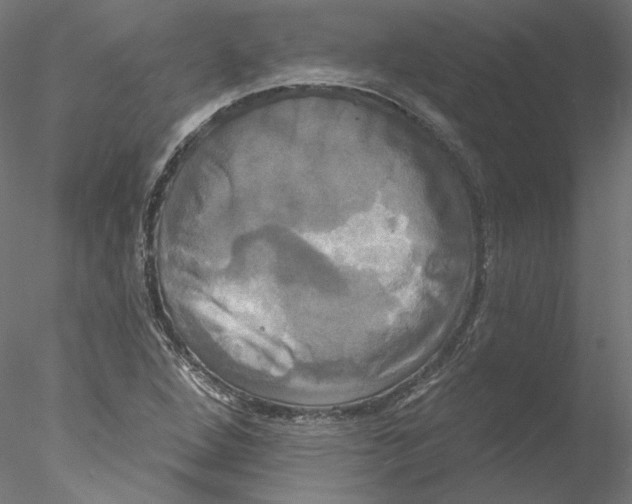 X0000076381264200611031620