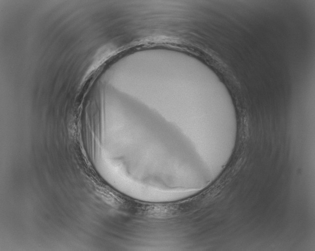 X0000076381266200611031620