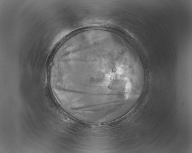 X0000076381267200611031620