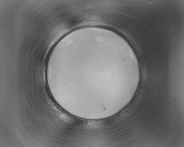 X0000076381274200611031620