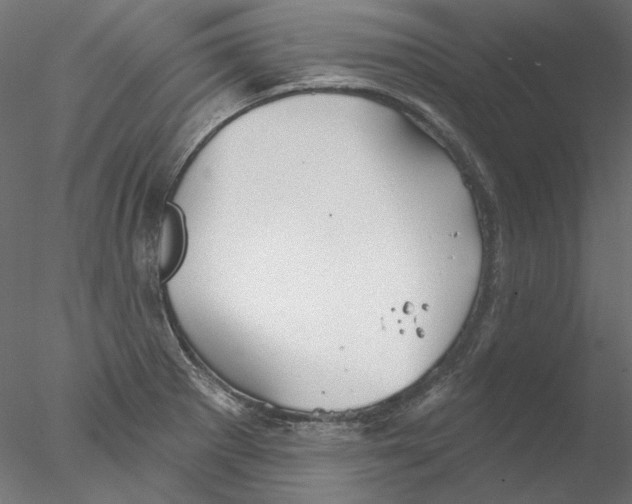 X0000076381281200611031620