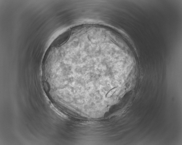 X0000076381287200611031620