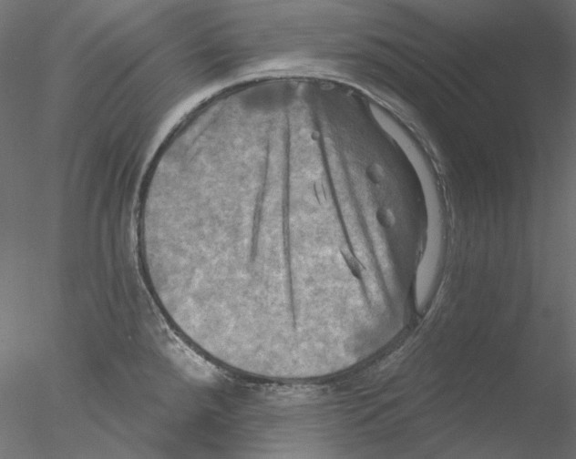 X0000076381288200611031620