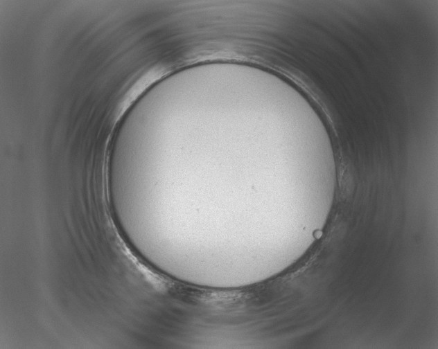 X0000076381290200611031620