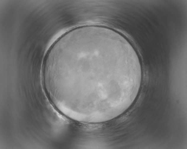 X0000076381294200611031620