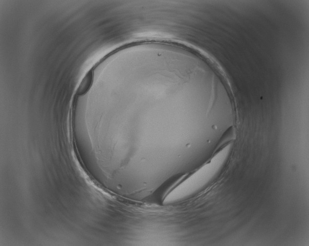 X0000076381295200611031620