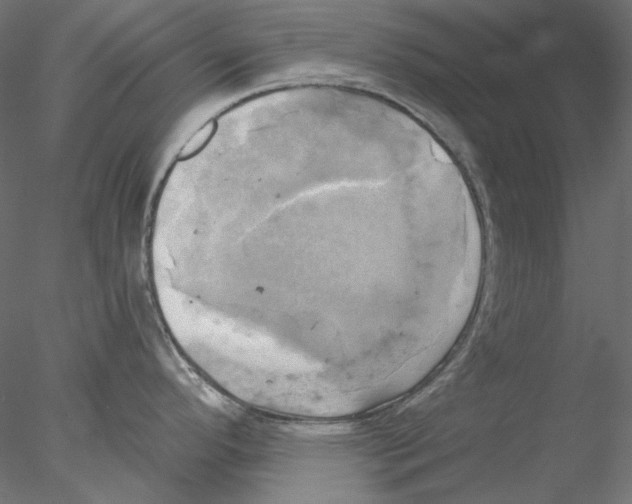 X0000076381296200611031620