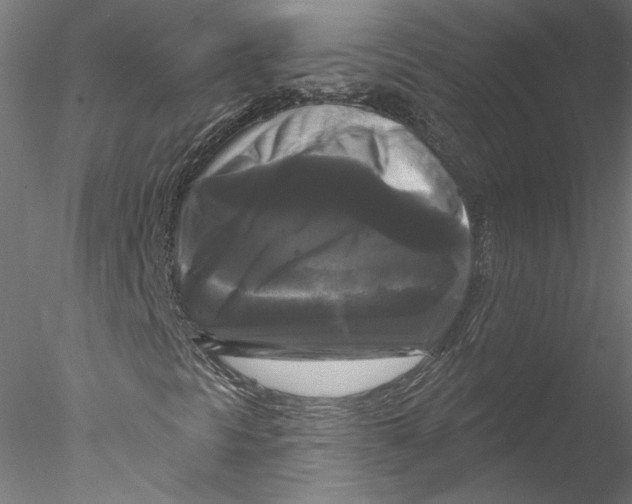 X0000076381297200611031619