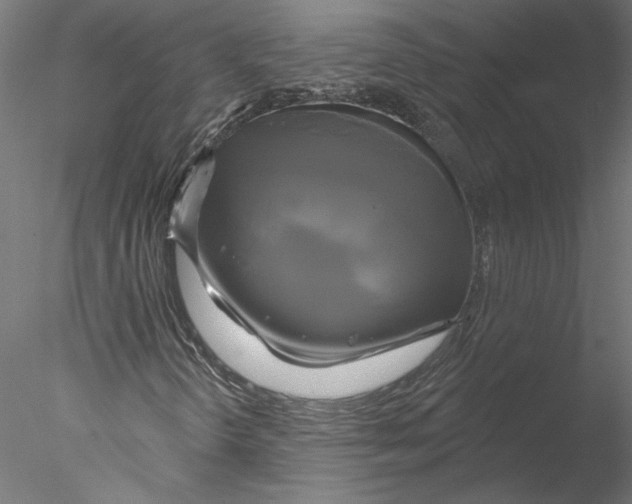 X0000076381298200611031619