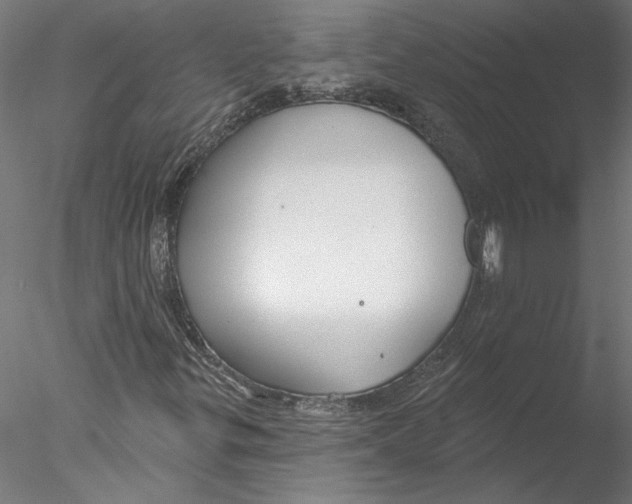 X0000076381299200611031619