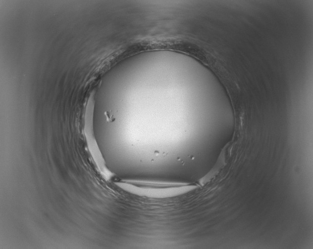 X0000076381300200611031619