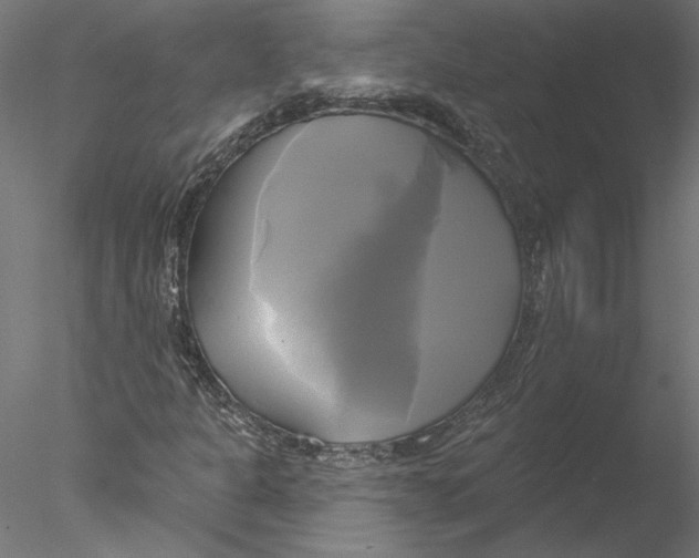 X0000076381301200611031619