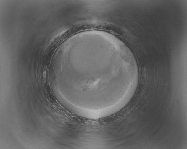 X0000076381302200611031619