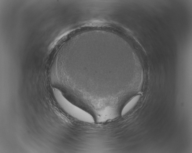 X0000076381304200611031619