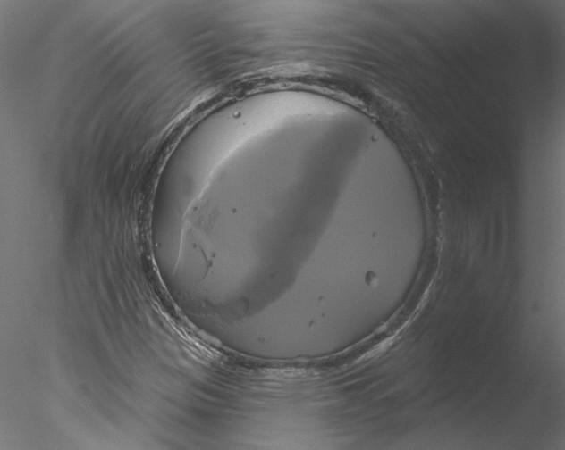 X0000076381305200611031619