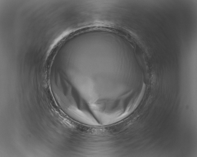 X0000076381310200611031619