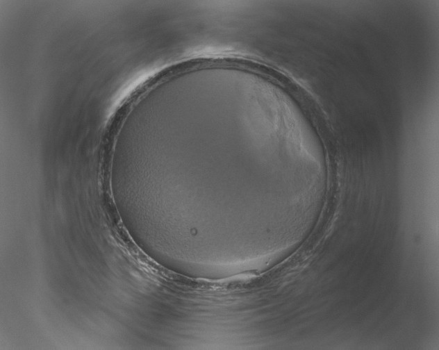 X0000076381311200611031619